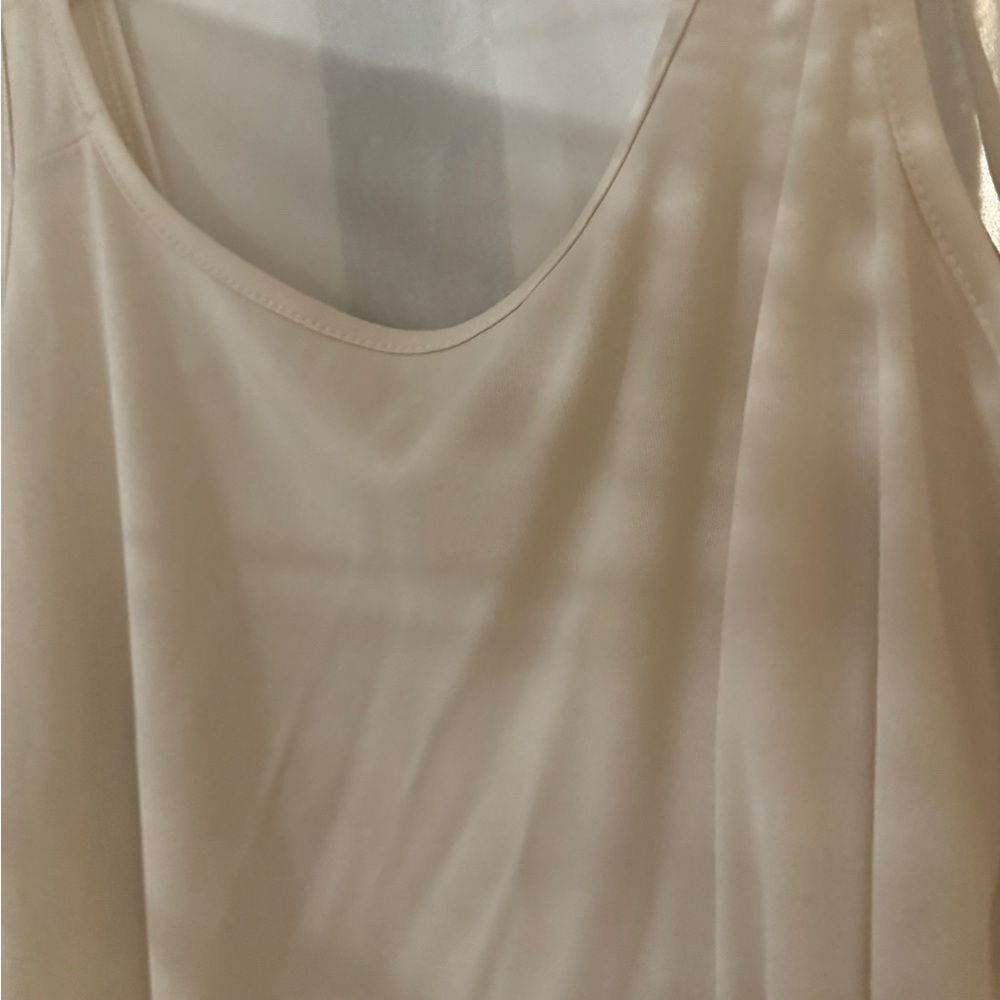 Roz and Ali Elegant sheerCream Blouse with Lace Detailing and matching camisole - Picture 3 of 4